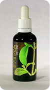 stevia szirup